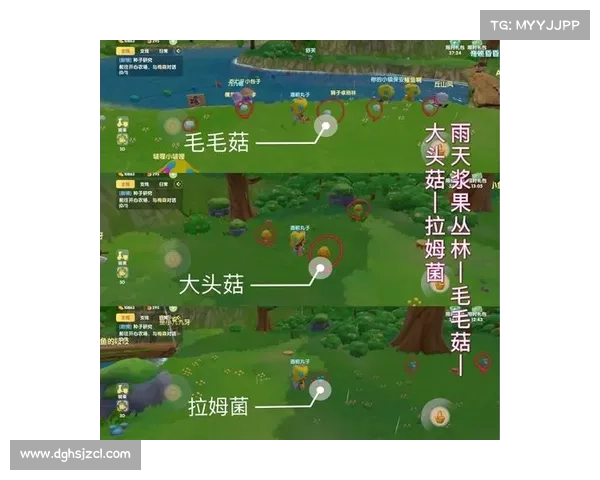 摩尔庄园白色浆果获取技巧分享及快速收集方法解析 摩尔庄园白色浆果获取技巧分享及快速收集方法解析