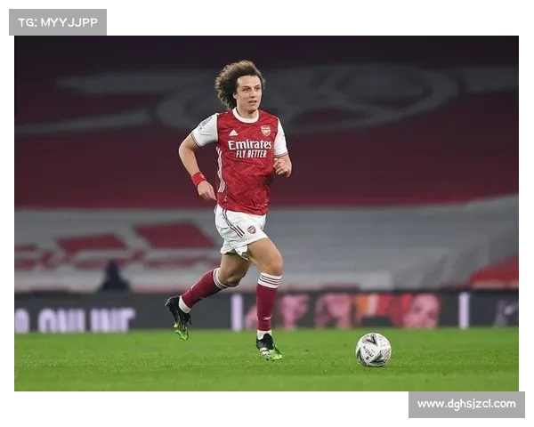 大卫路易斯在场上角色定位与表现分析解读