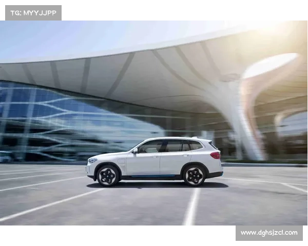 巴舒亚伊语言使用指南全面解读